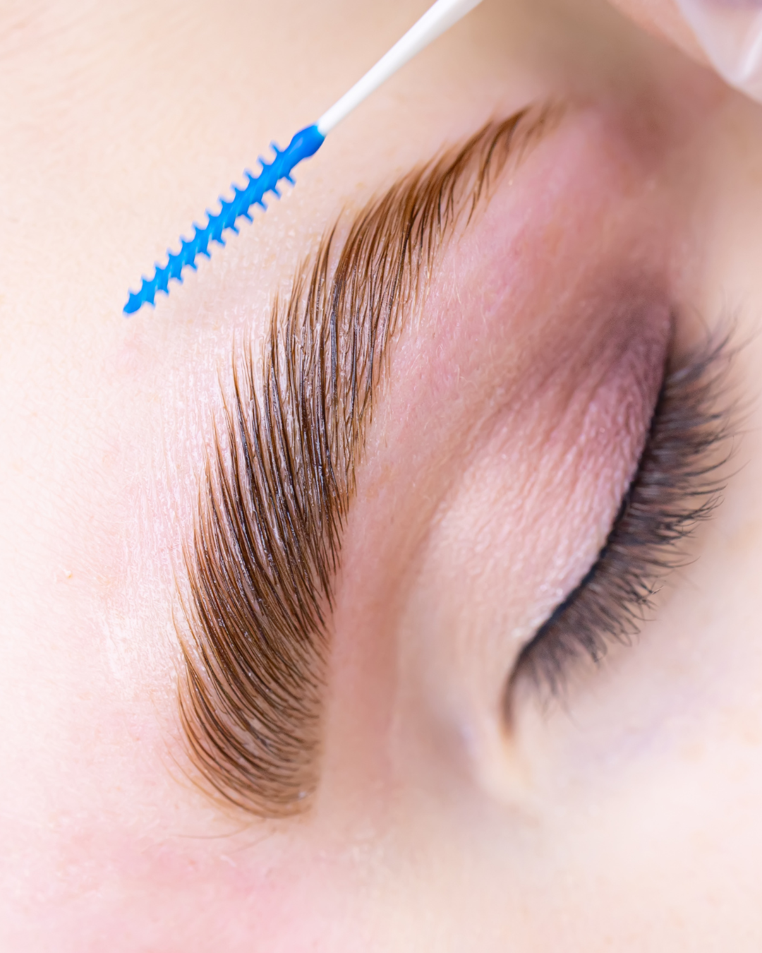 Henna & Brow Lamination Kit Online Course